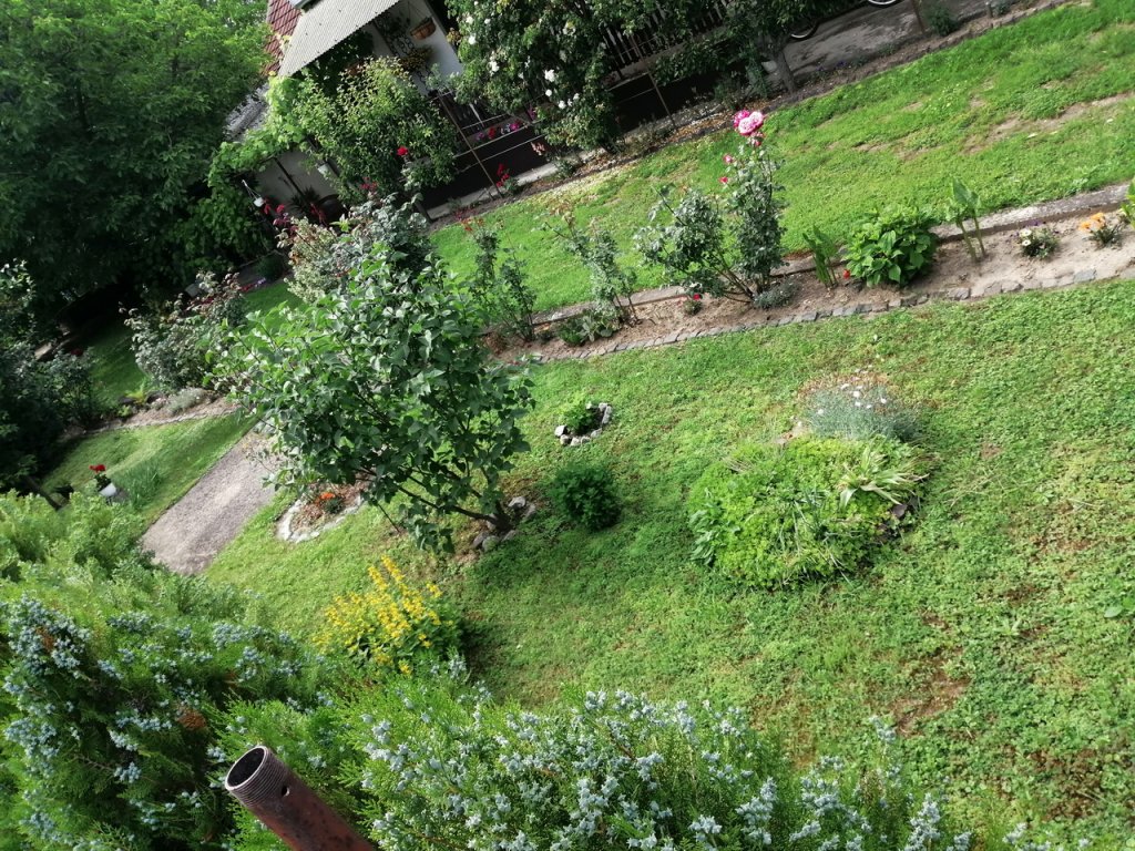 Réz Józsefné kertje 02